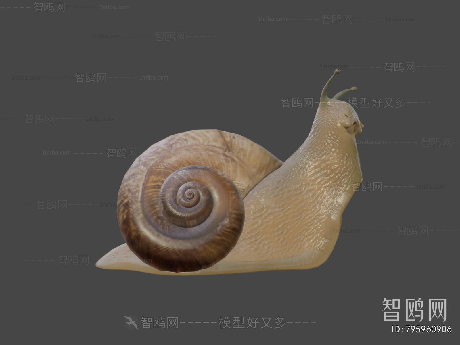Modern Animal