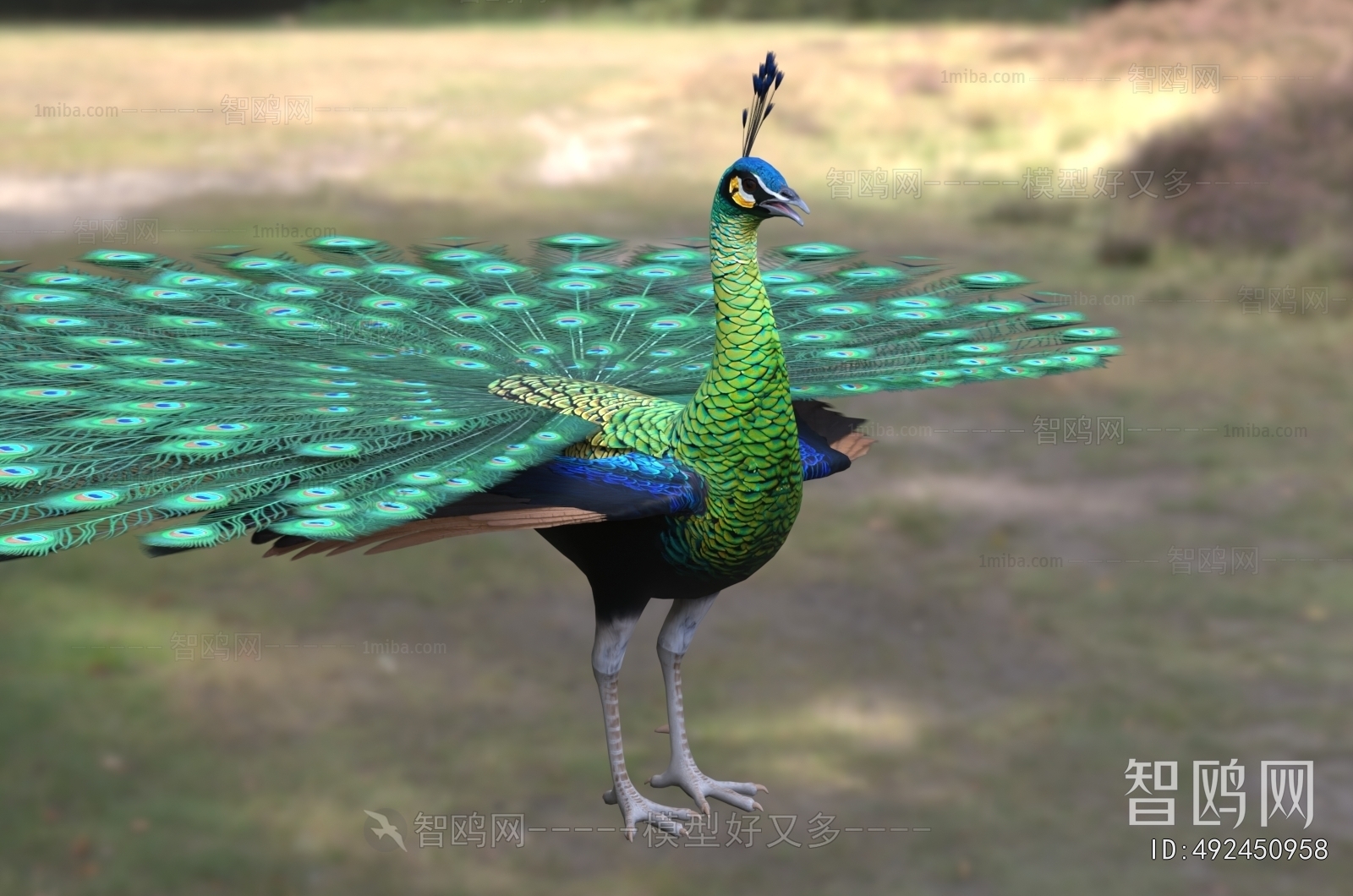 Modern Flying Animals