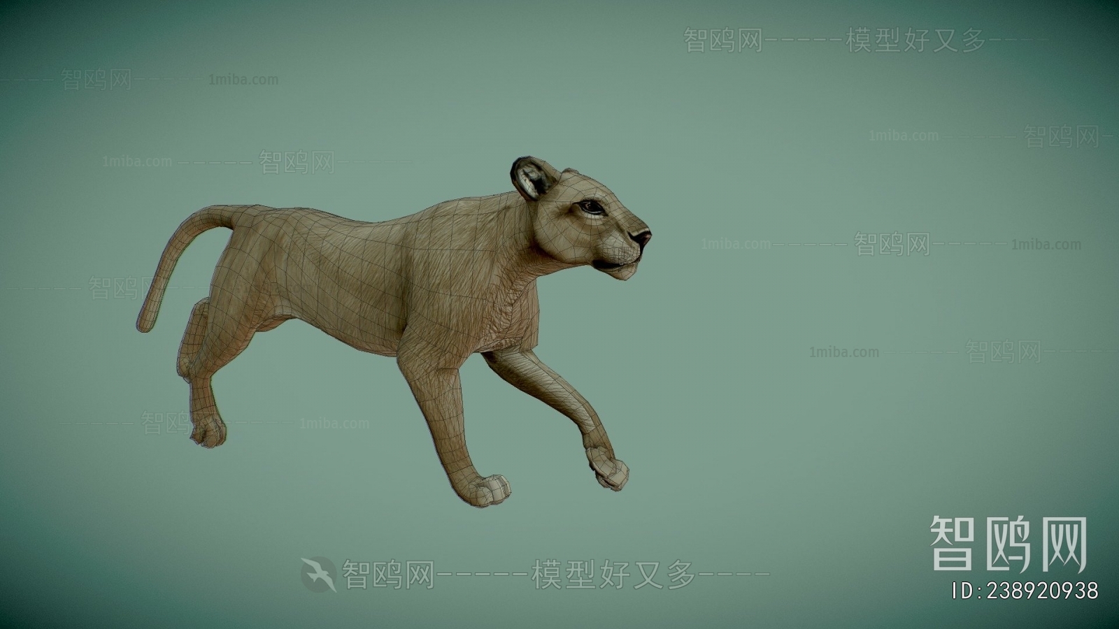 Modern Mammal