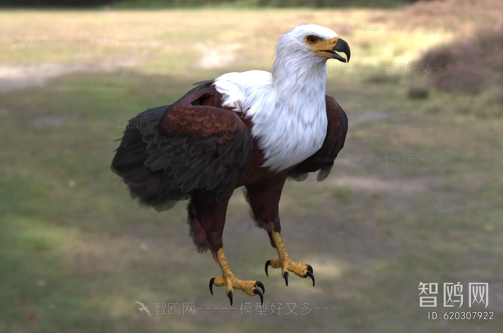Modern Flying Animals