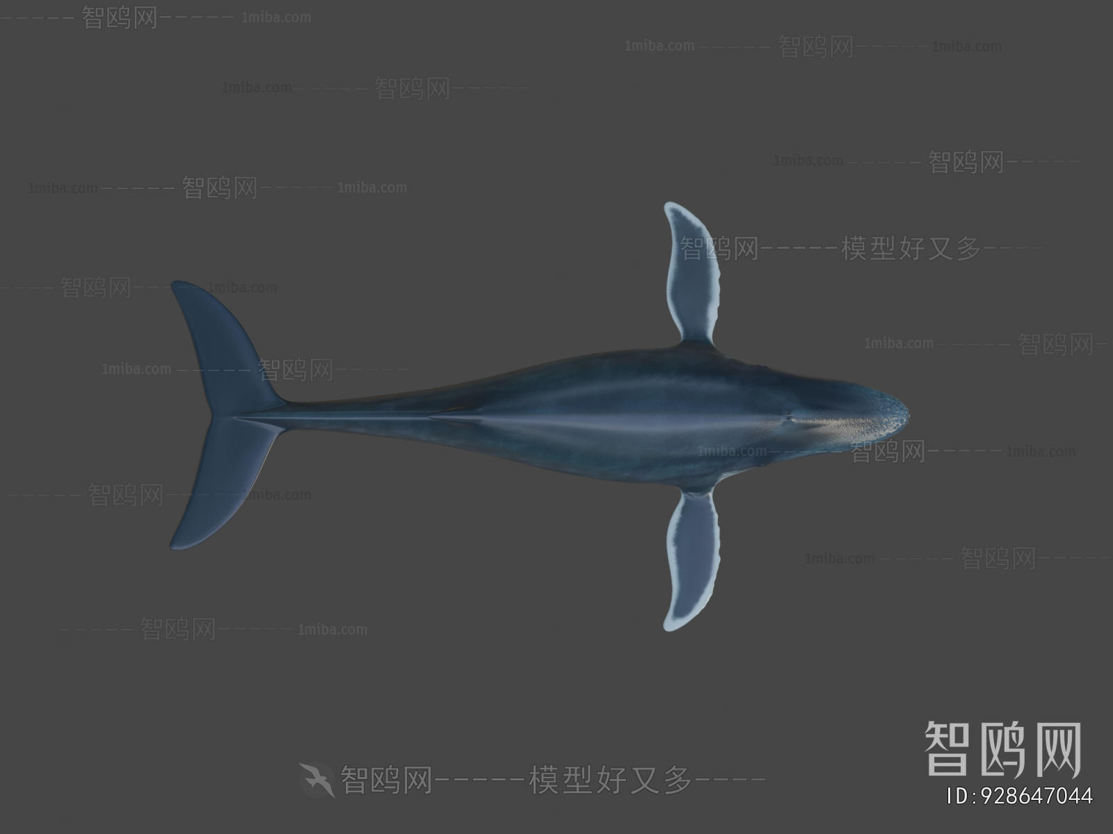 Modern Aquatic Animals