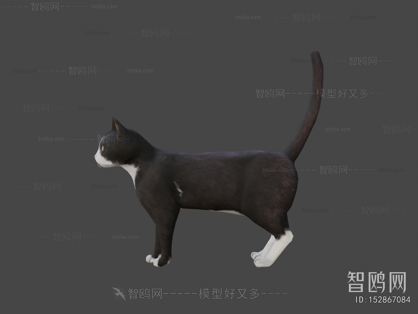 Modern Animal