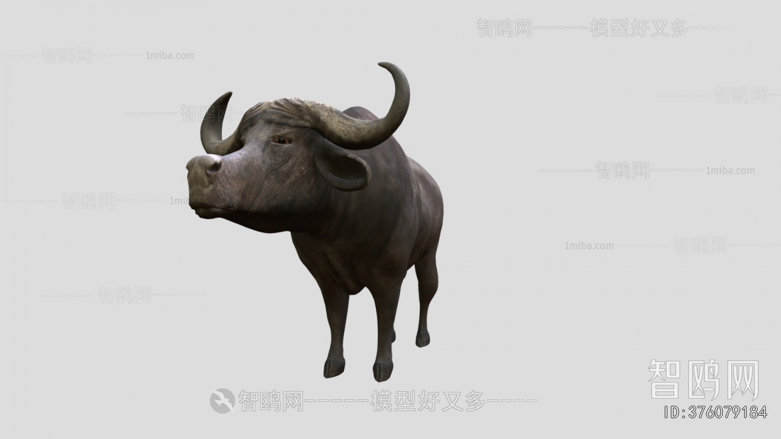 Modern Animal