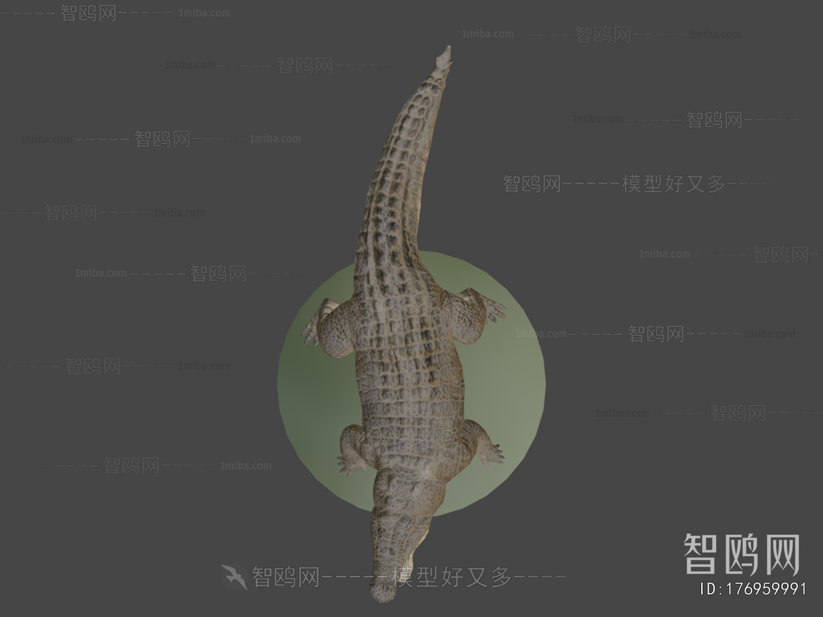 Modern Animal