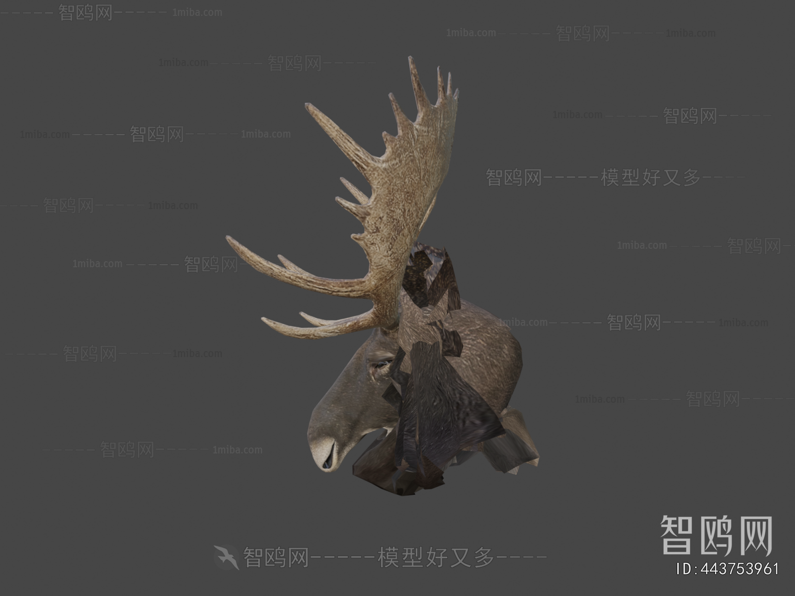 Modern Mammal