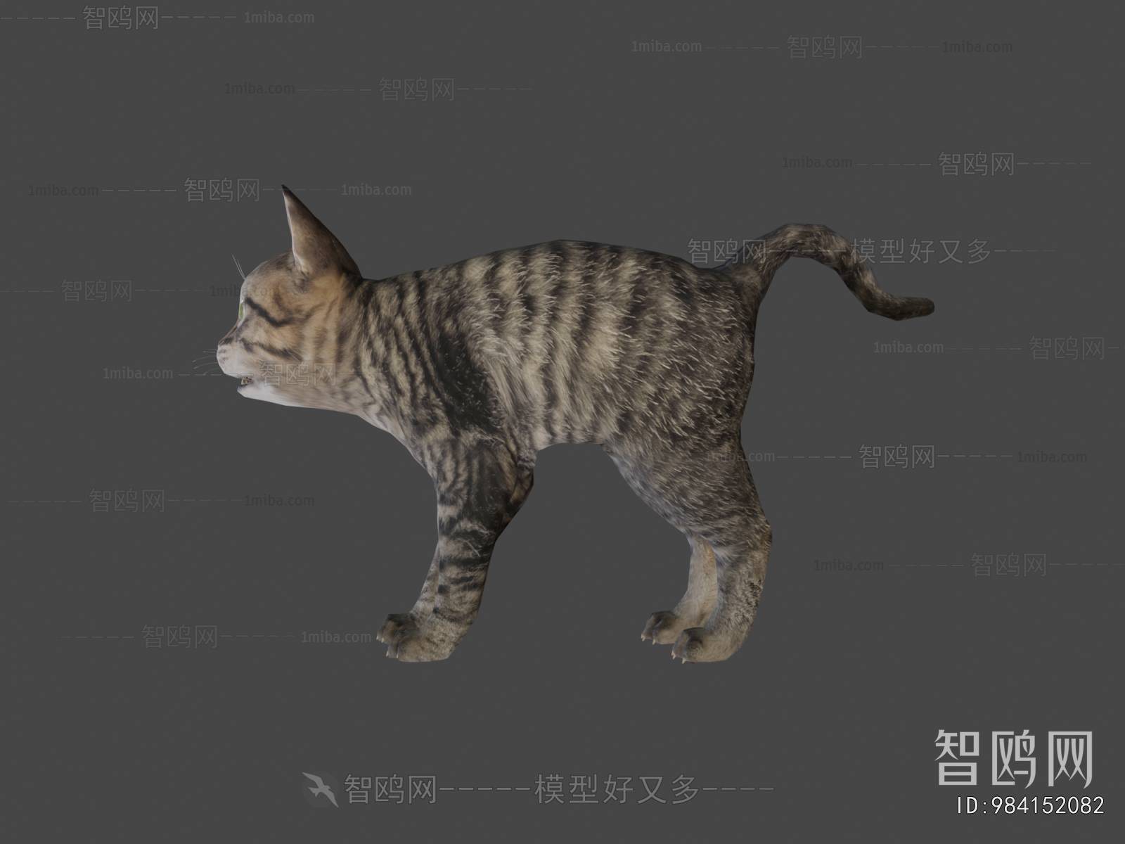 Modern Animal Cat