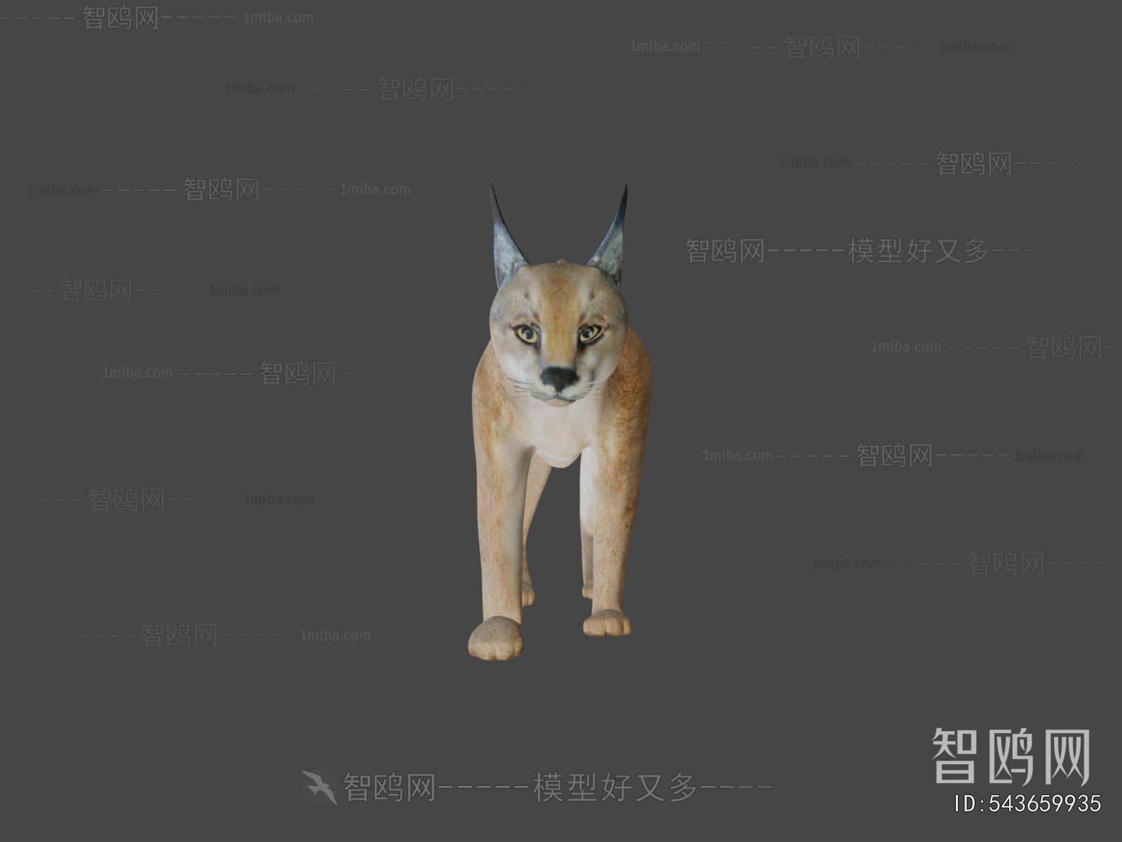 Modern Animal Cat