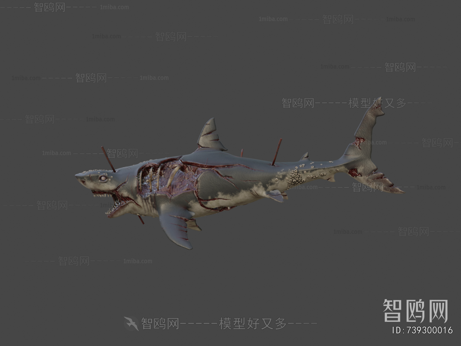 Modern Aquatic Animals