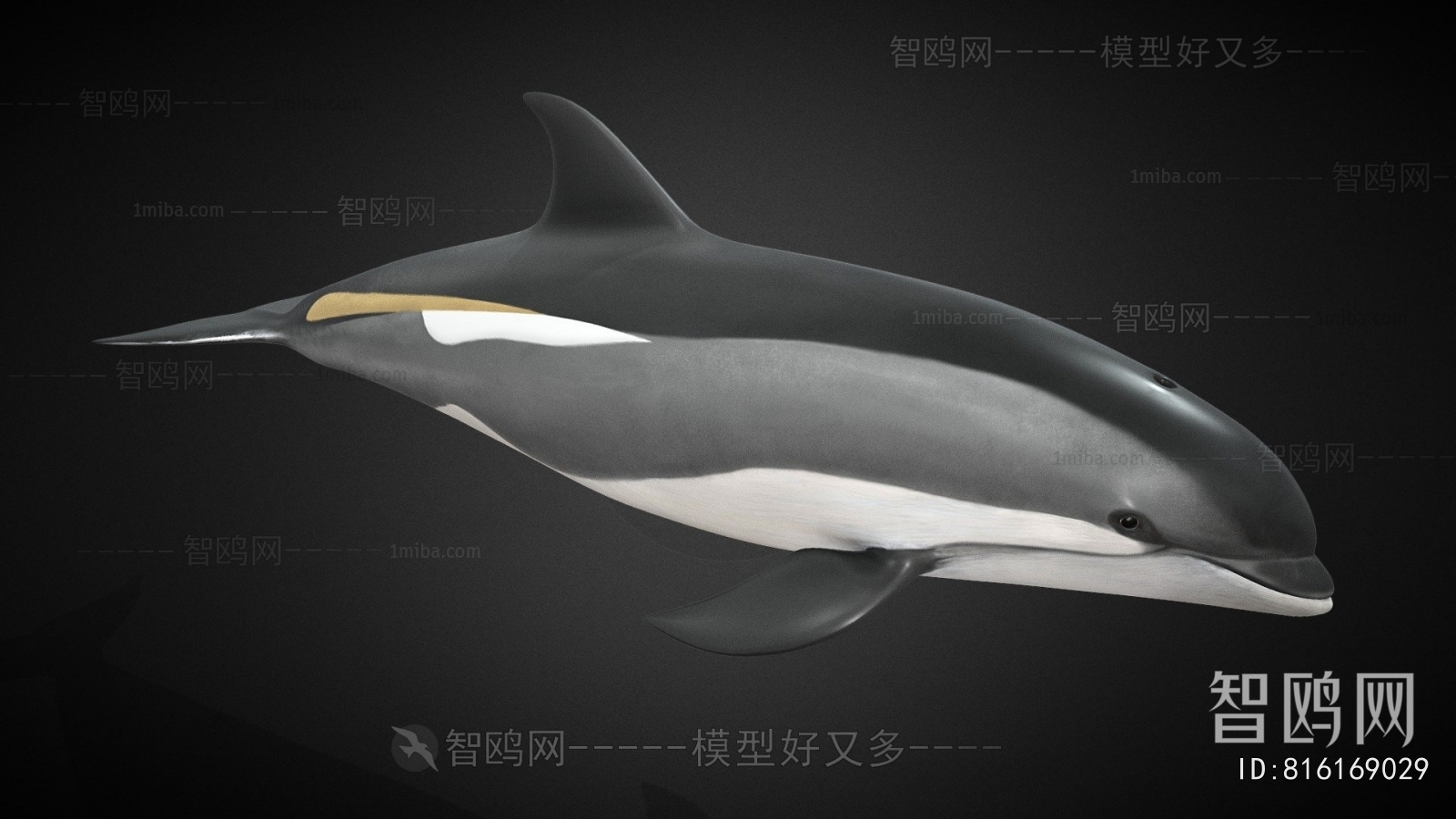 Modern Aquatic Animals