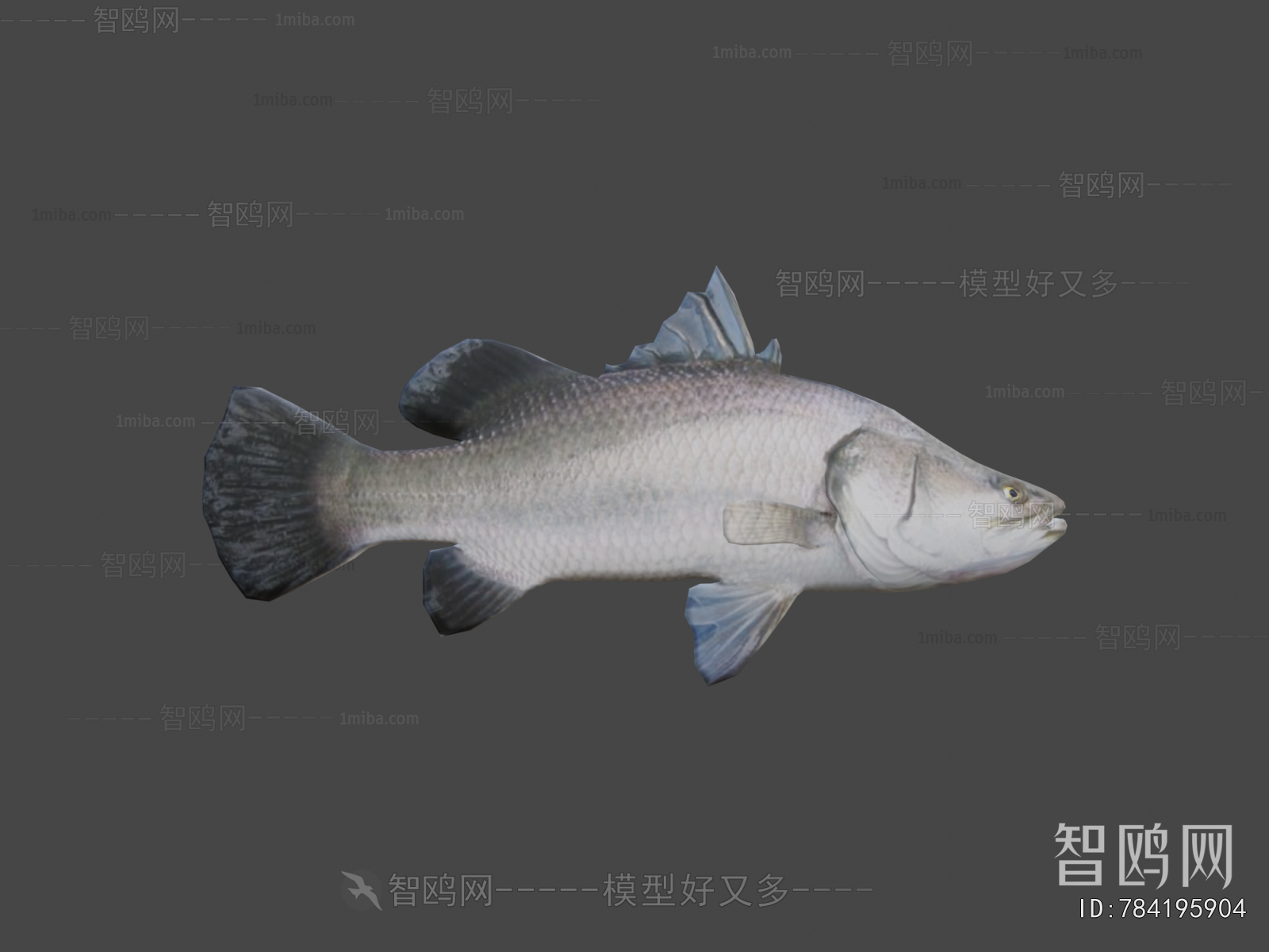 Modern Aquatic Animals