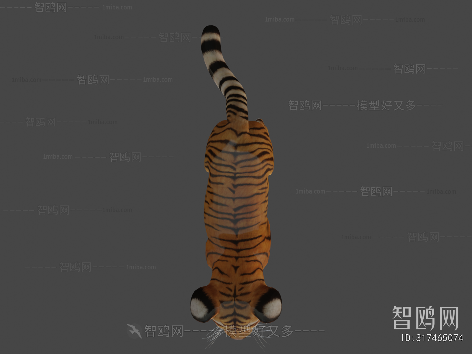 Modern Mammal