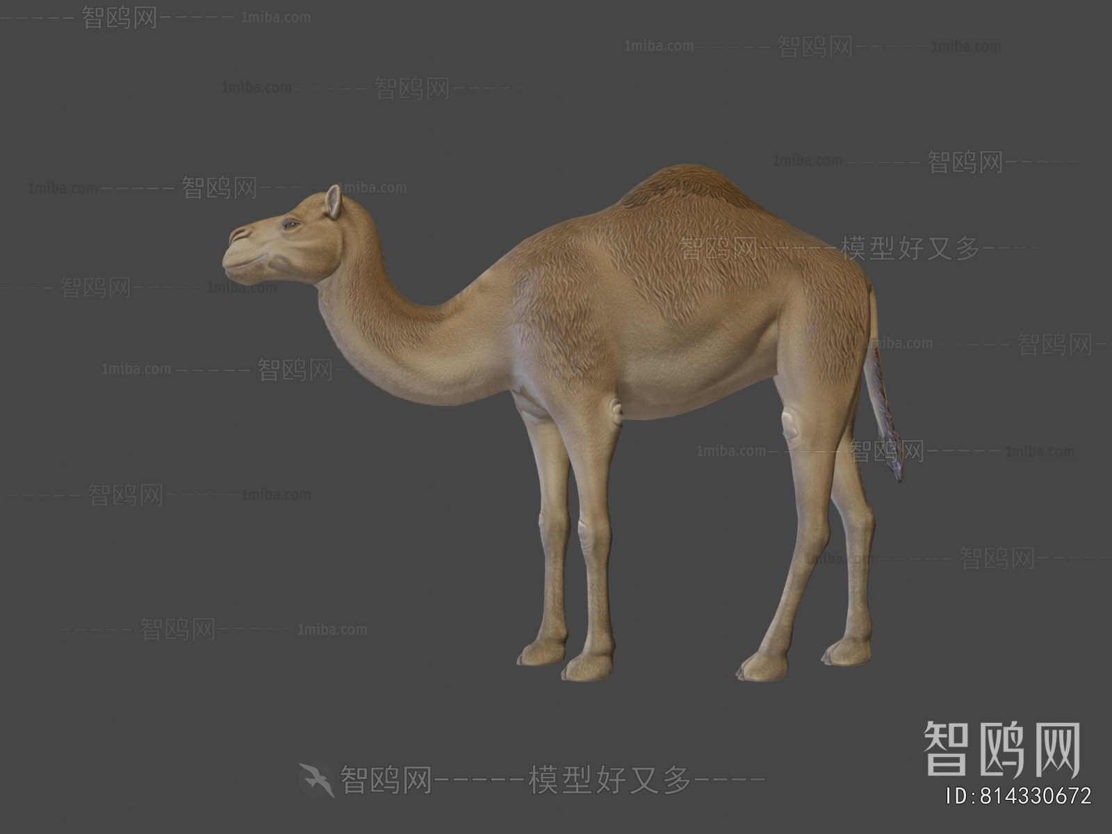 Modern Mammal
