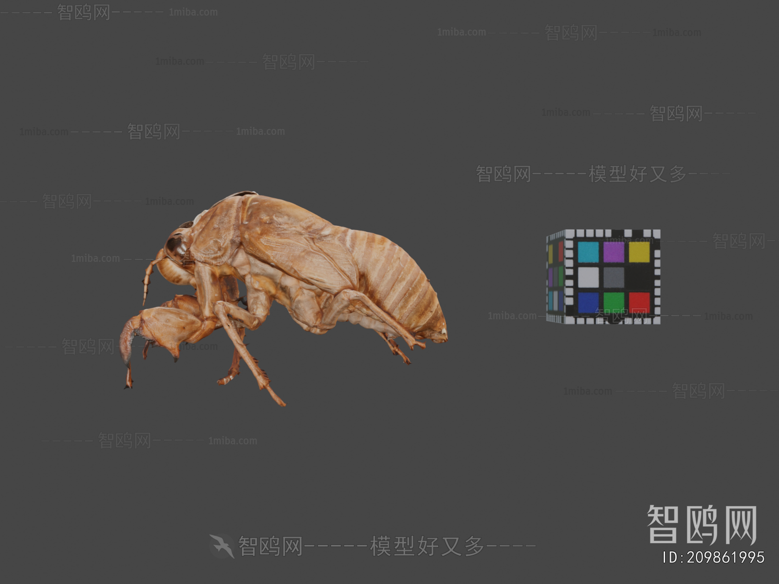 Modern Animal