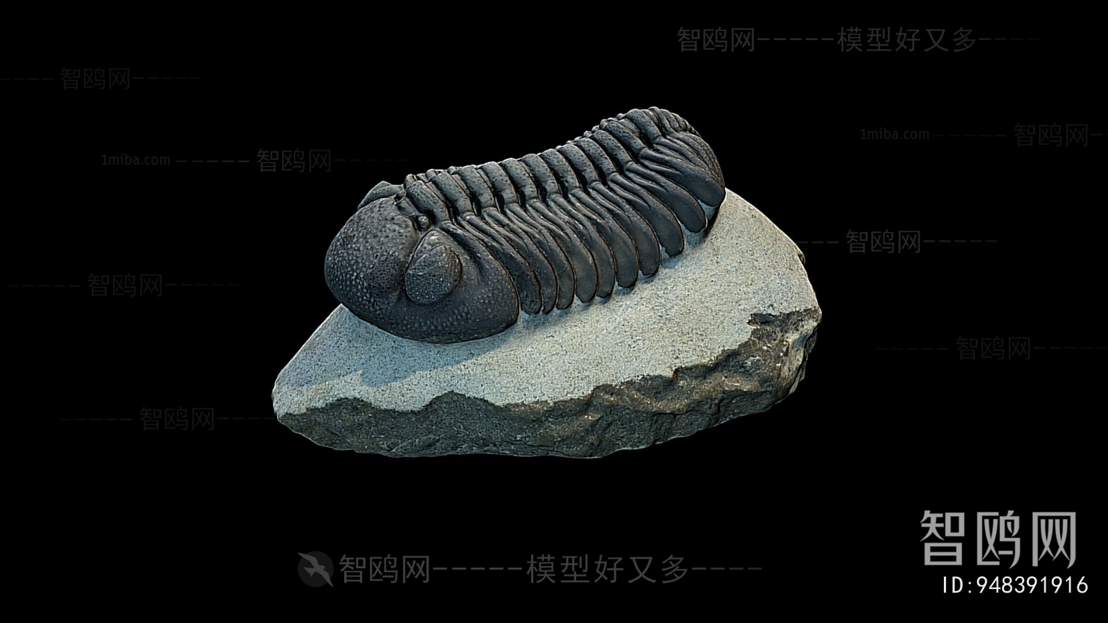 Modern Animal