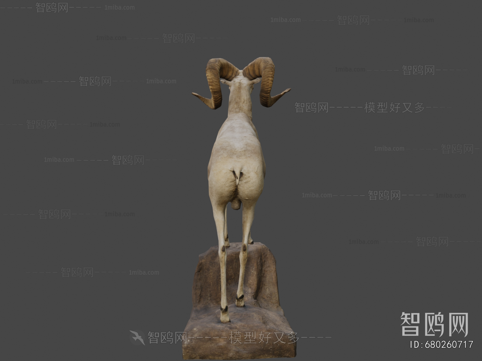 Modern Animal