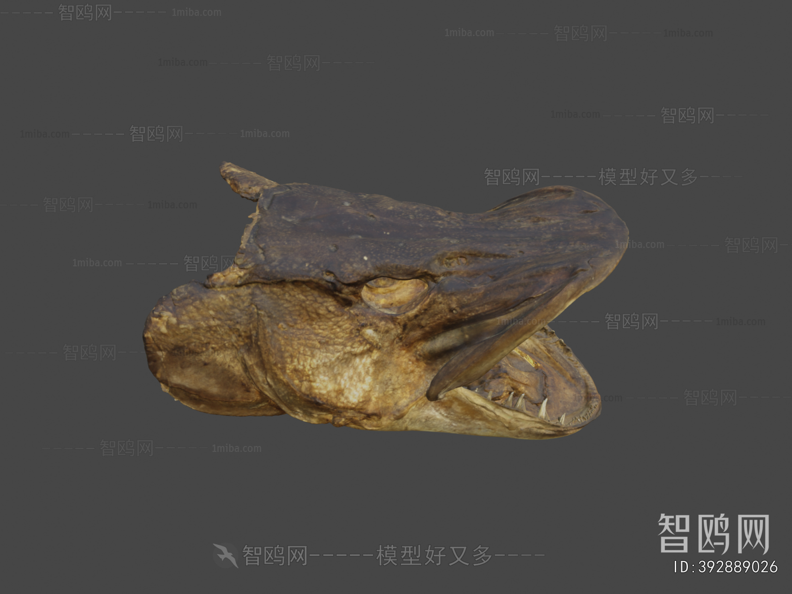 Modern Medical Equipment