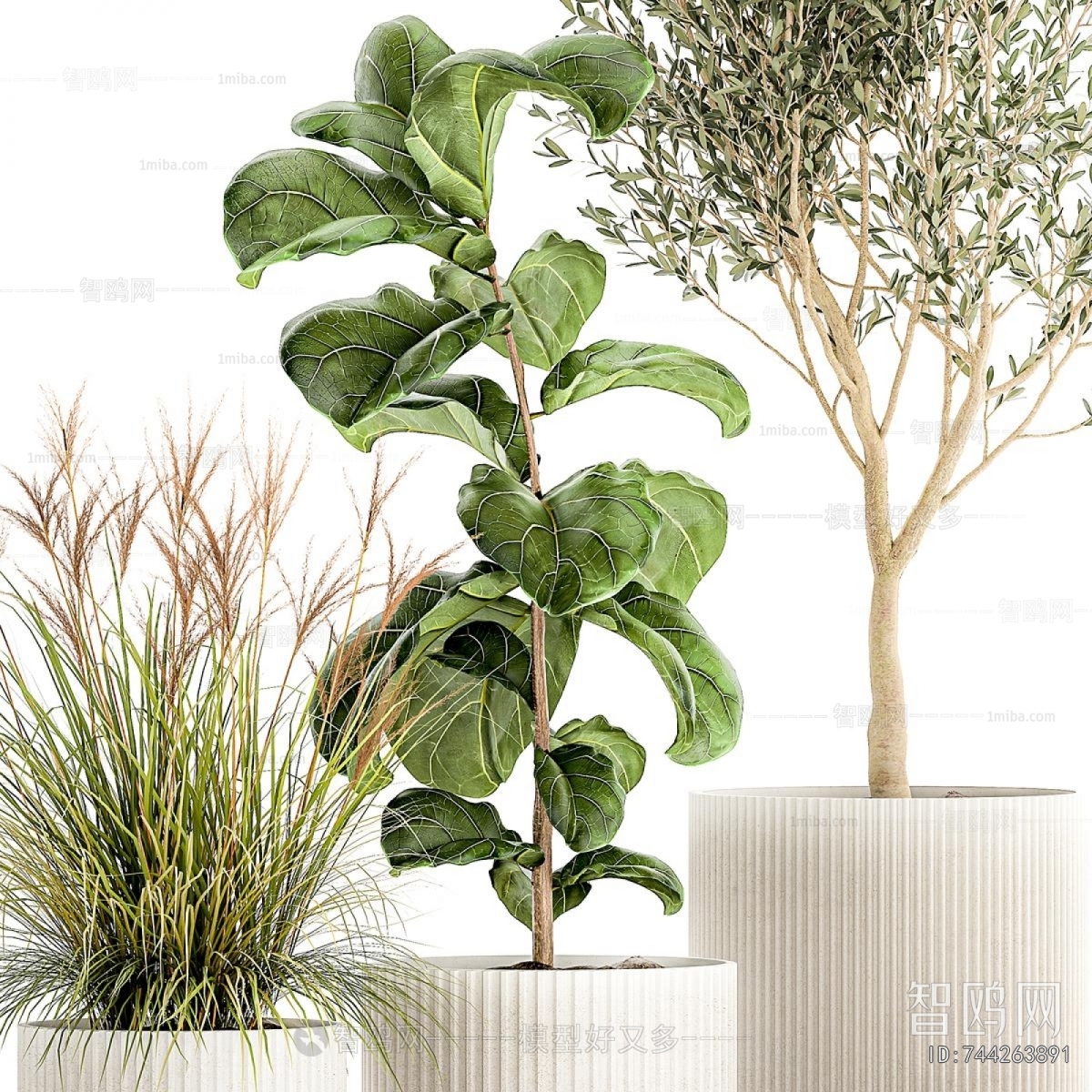Modern Ground Green Plant Potted Plants