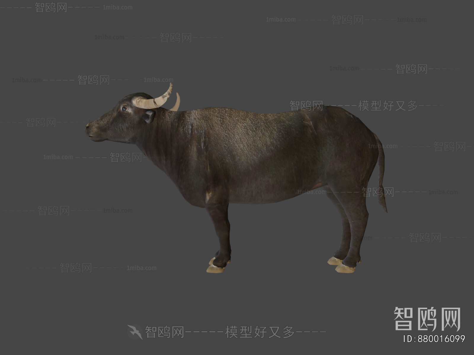 Modern Mammal