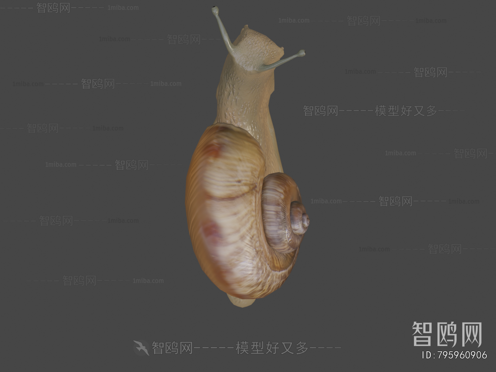 Modern Animal