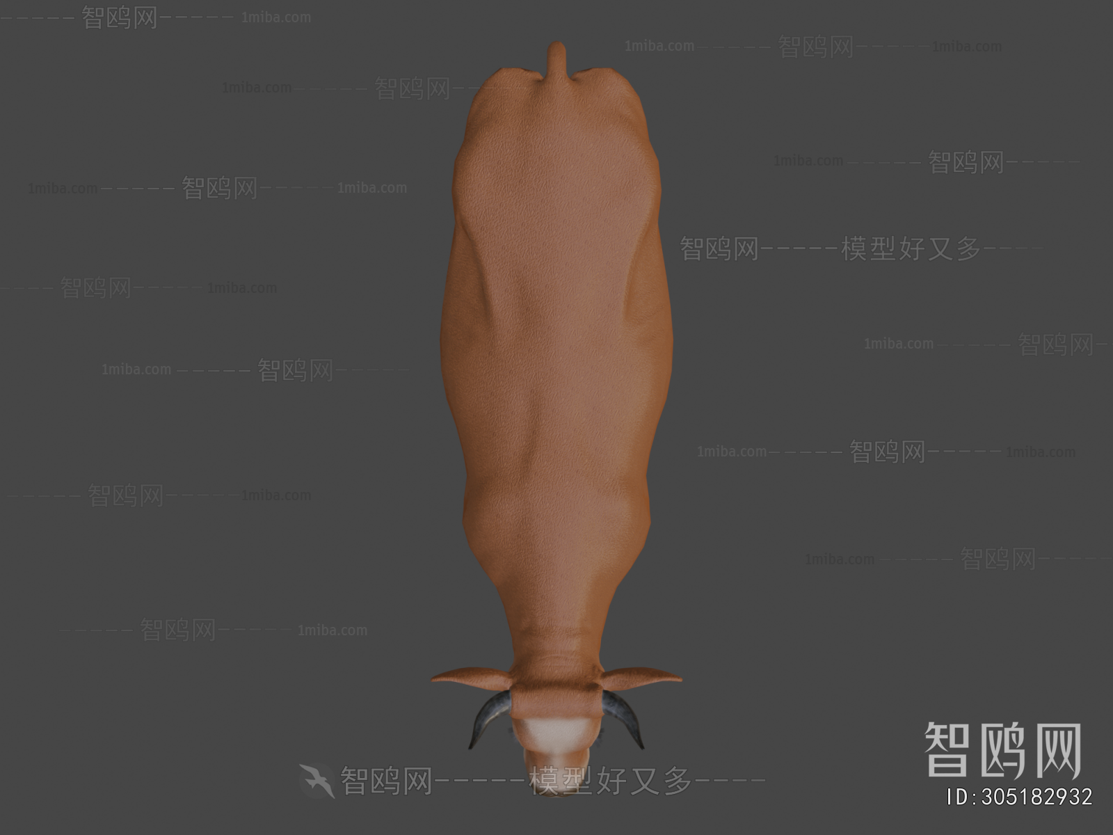 Modern Mammal