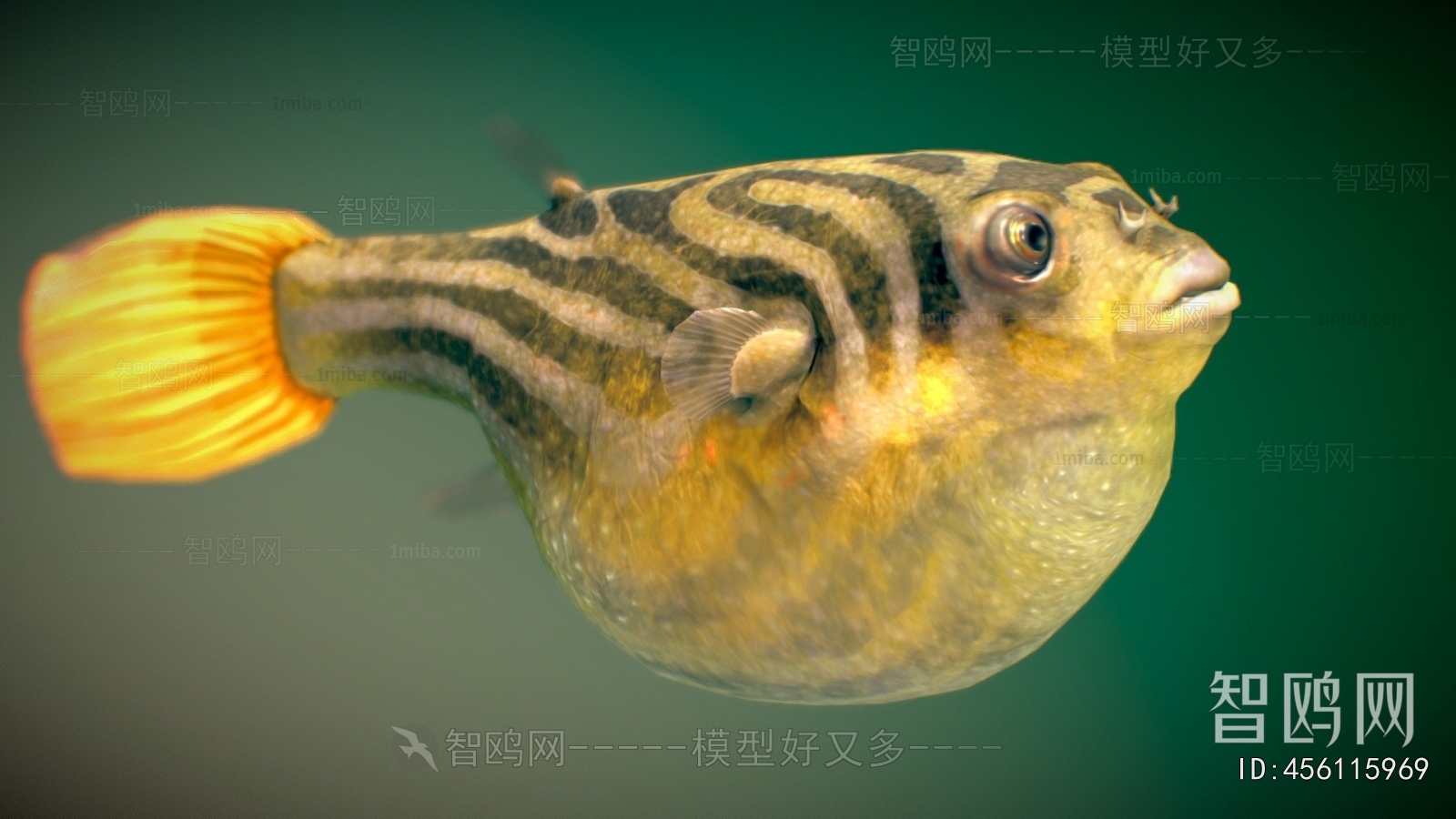 Modern Aquatic Animals