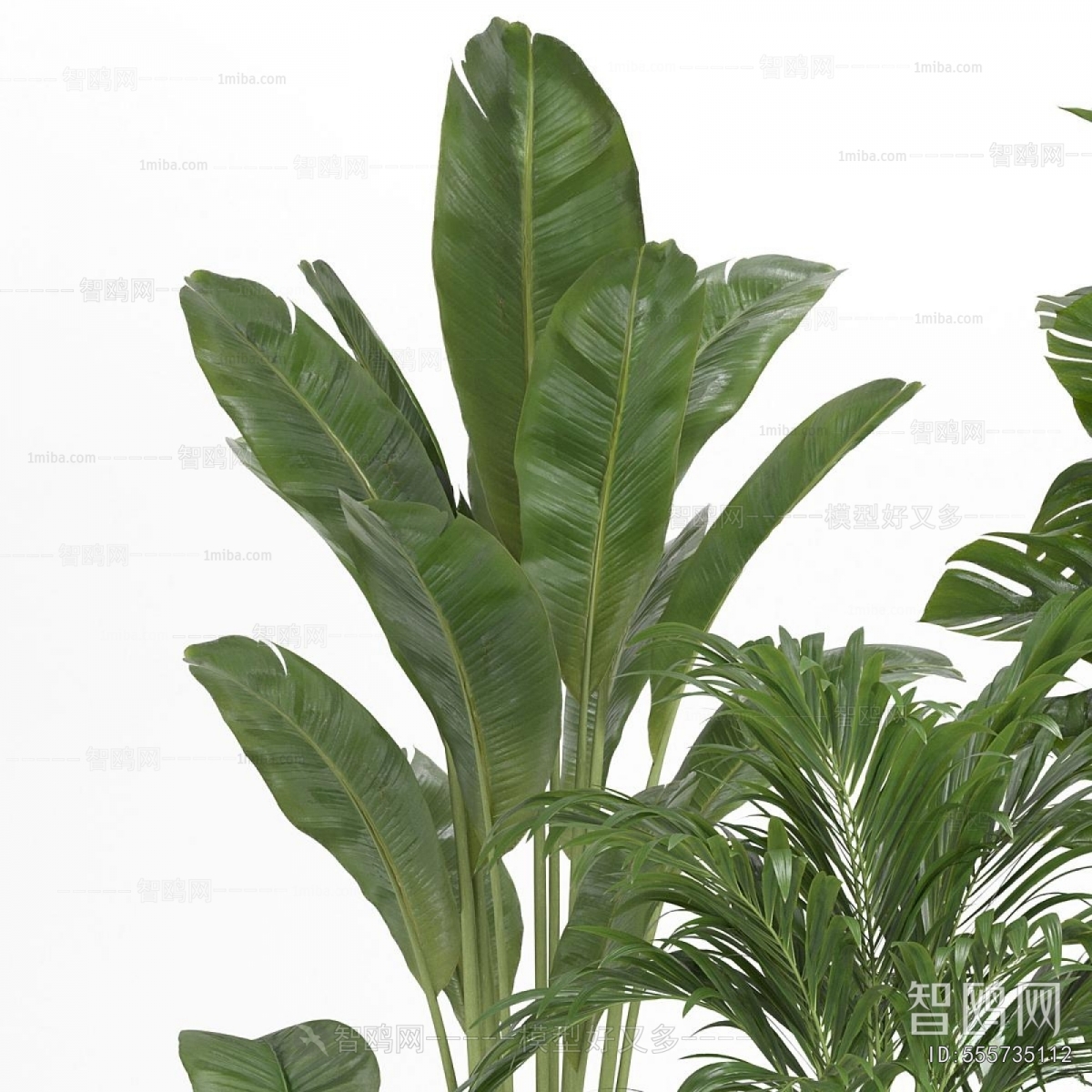 Modern Ground Green Plant Potted Plants