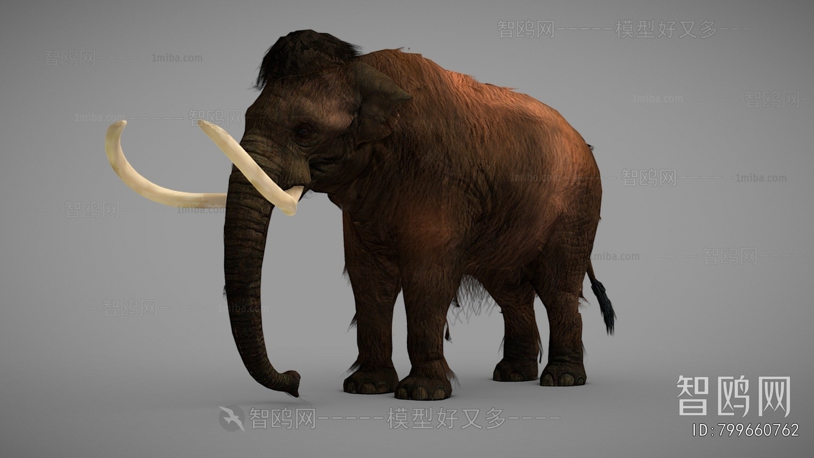 Modern Animal