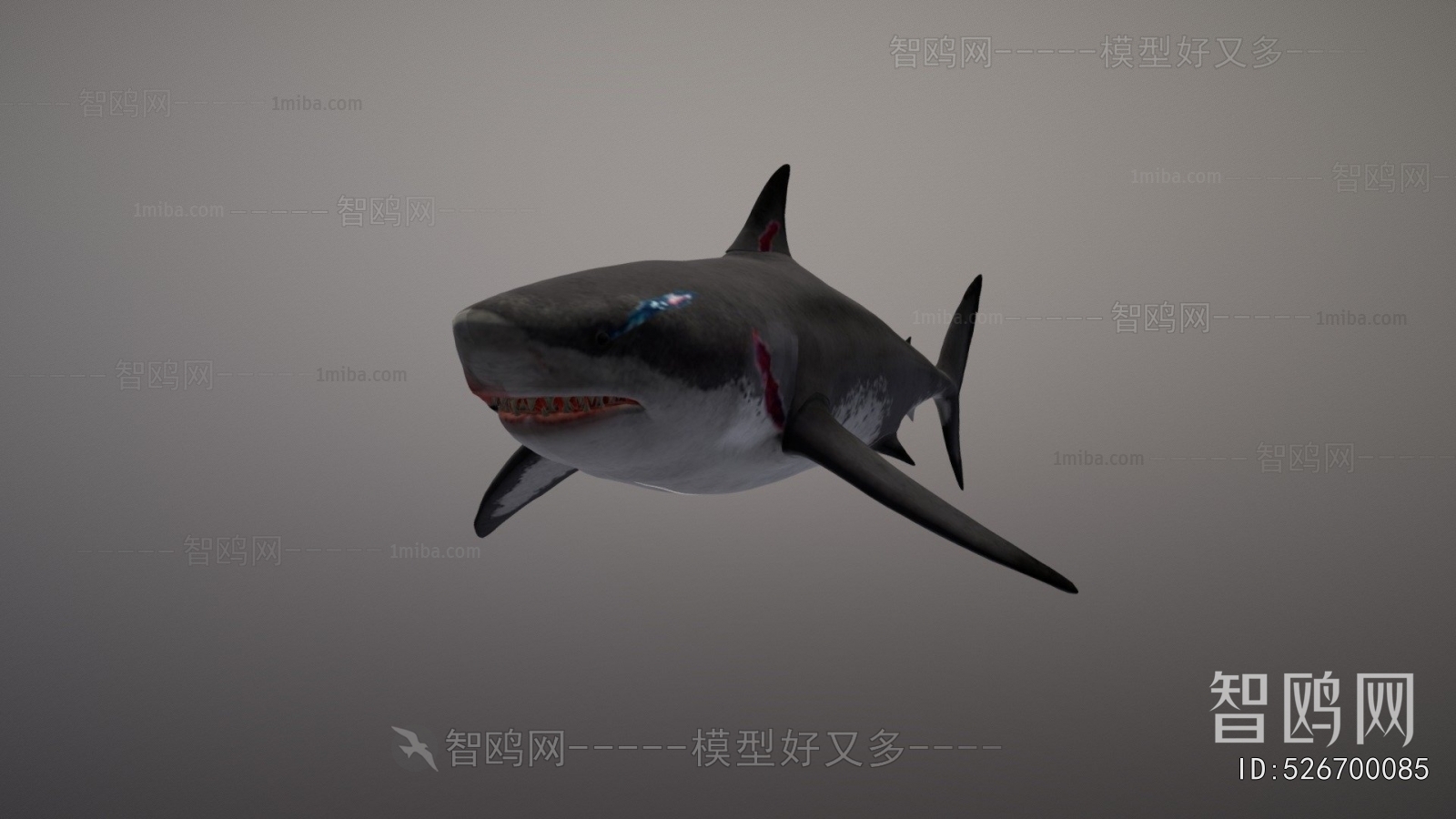 Modern Aquatic Animals
