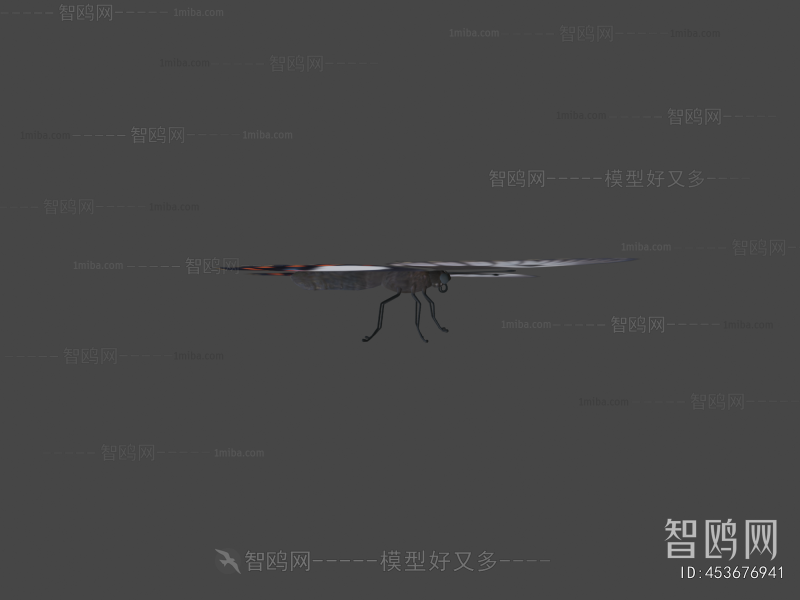 Modern Flying Animals