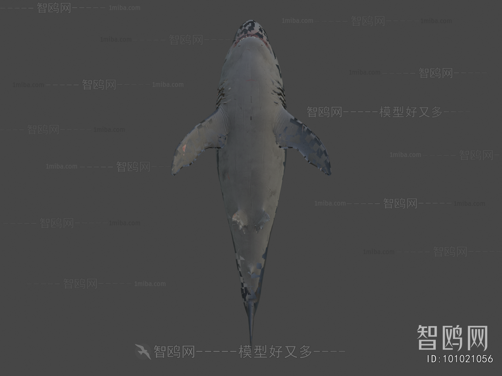 Modern Aquatic Animals