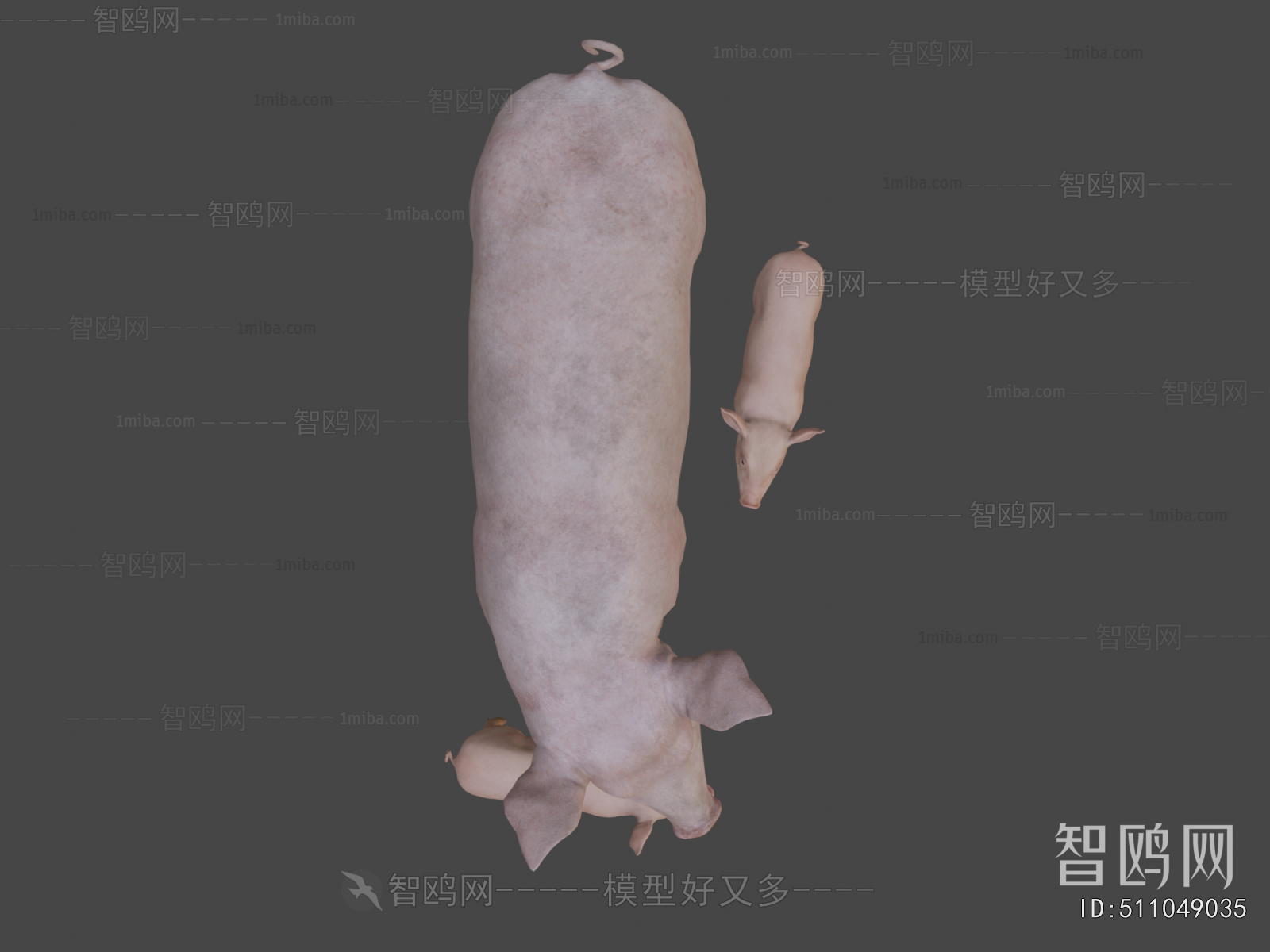 Modern Animal Pig