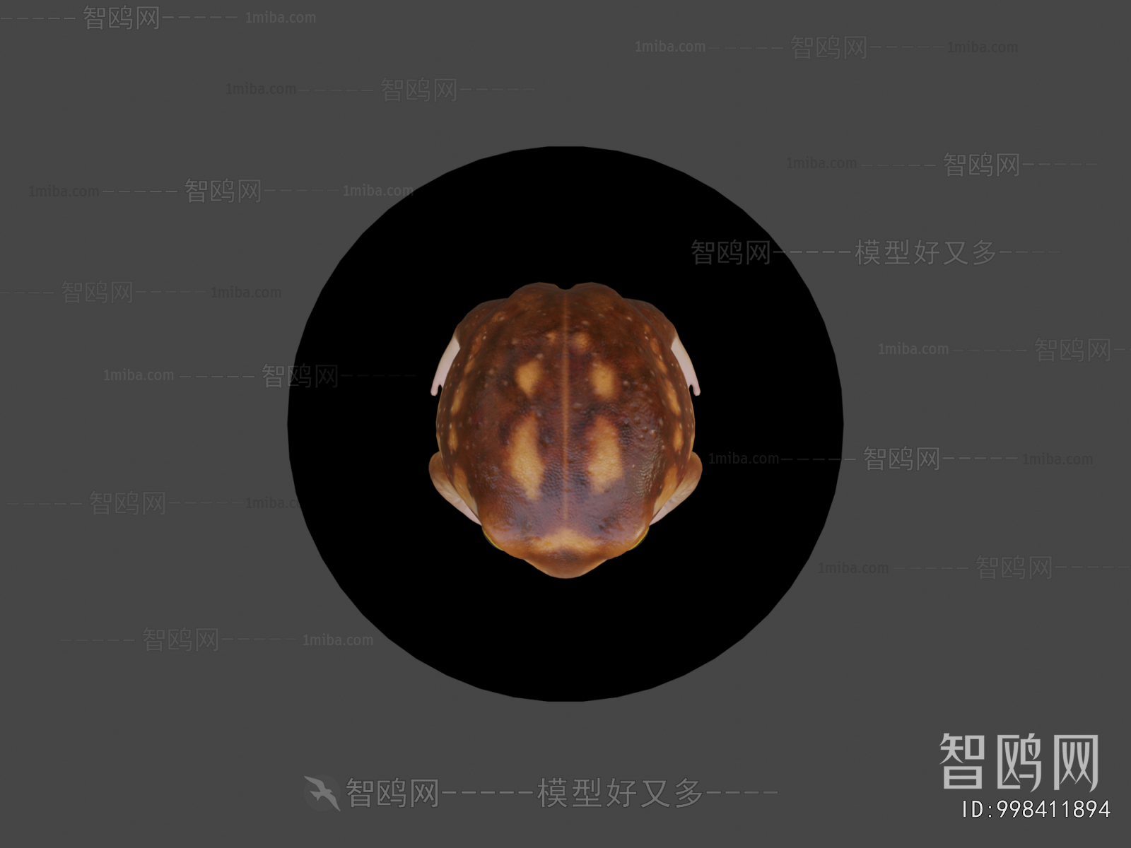 Modern Aquatic Animals