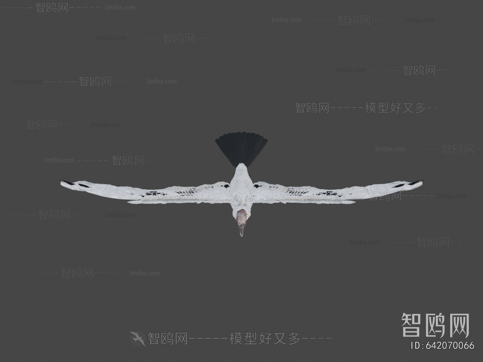 Modern Flying Animals