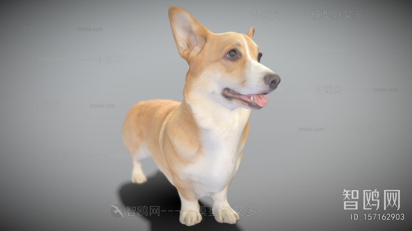 Modern Mammal