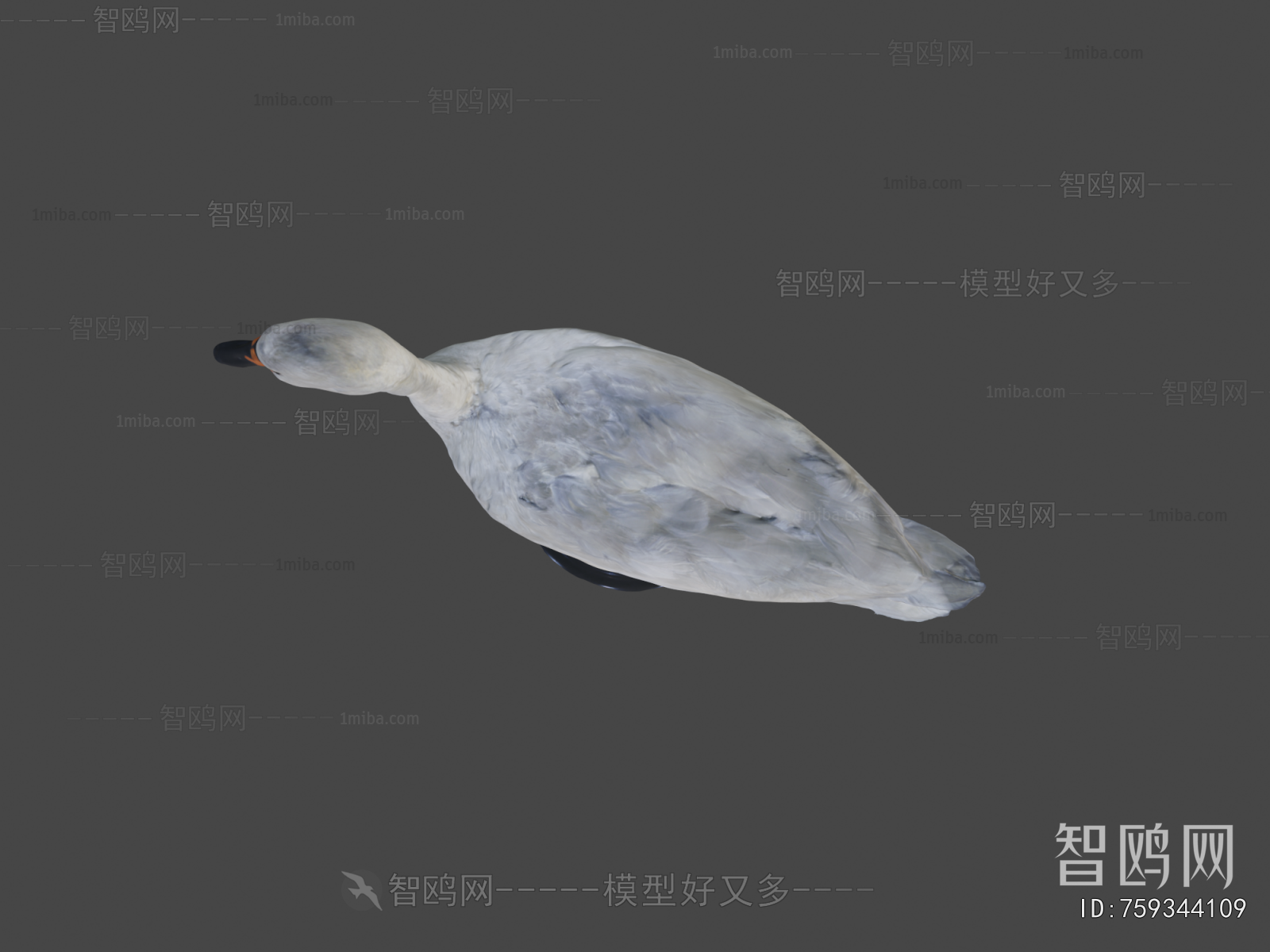 Modern Animal