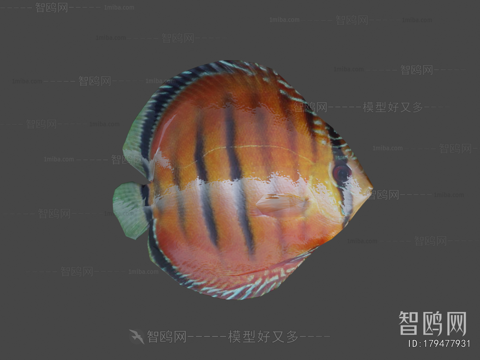 Modern Aquatic Animals