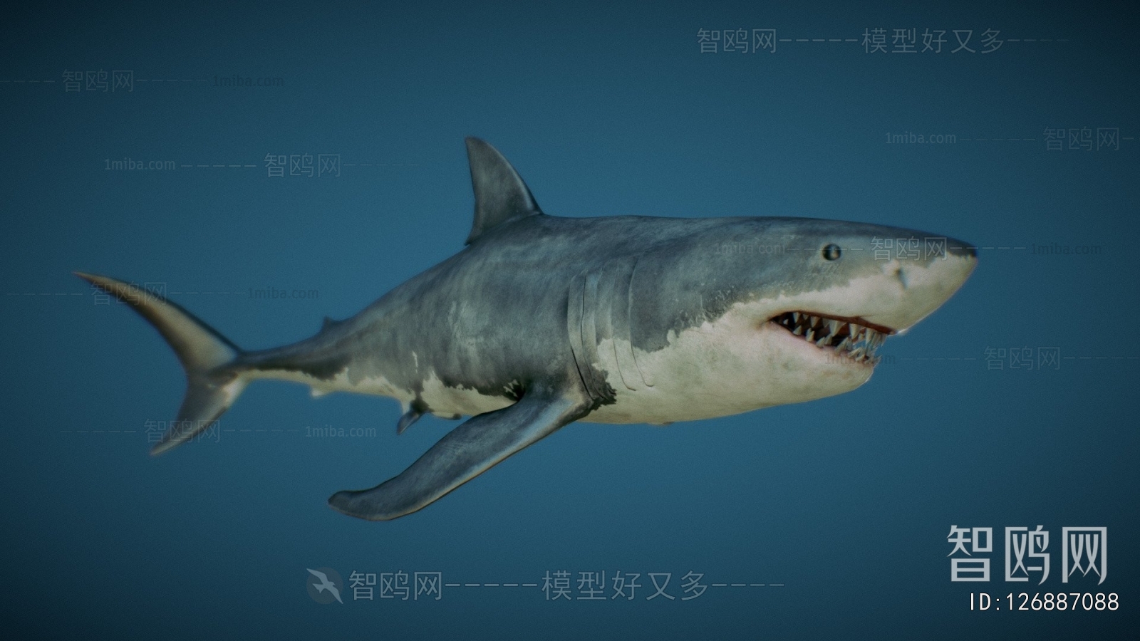 Modern Aquatic Animals