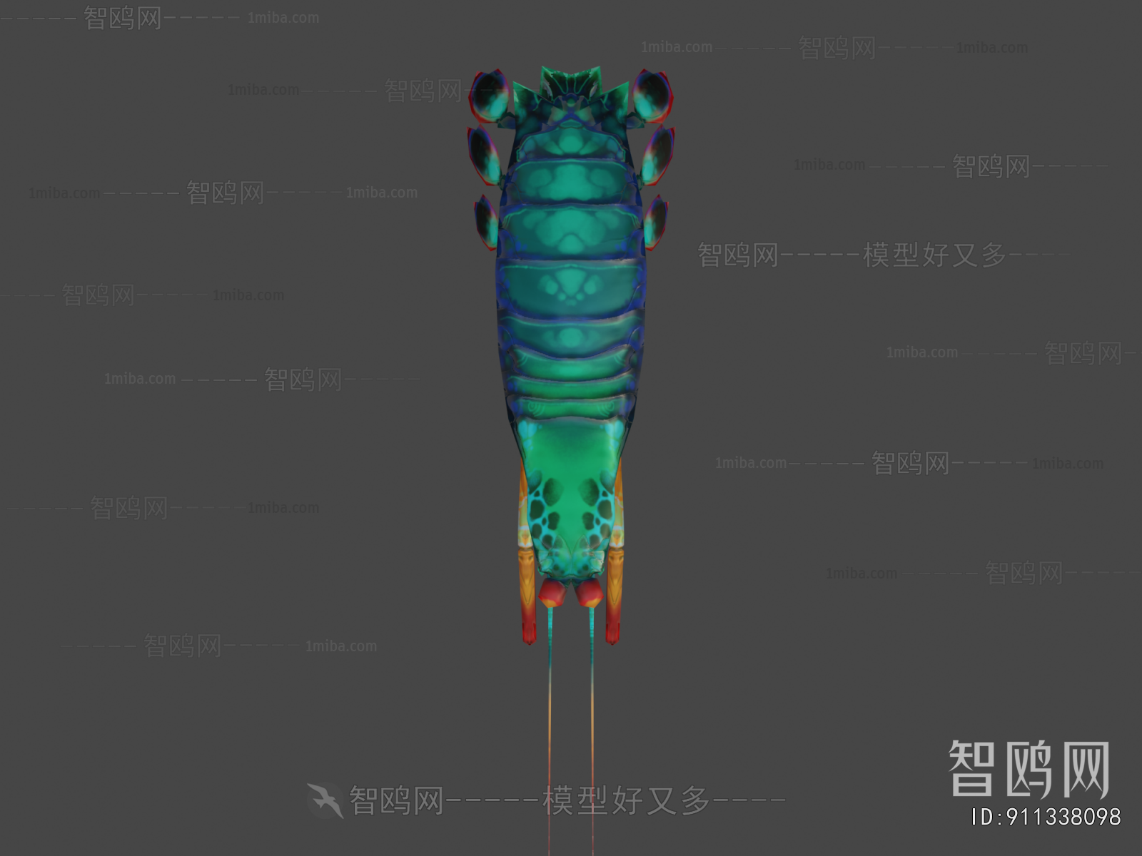 Modern Animal