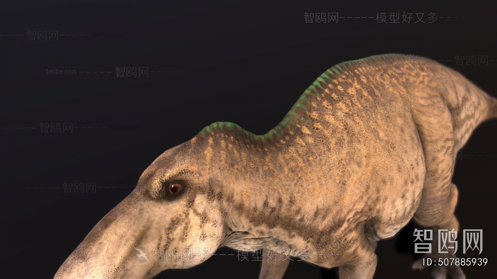 Modern Animal