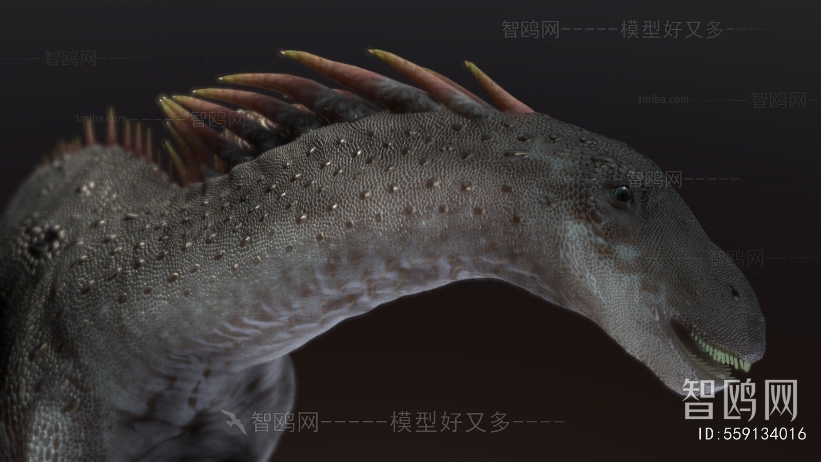 Modern Animal
