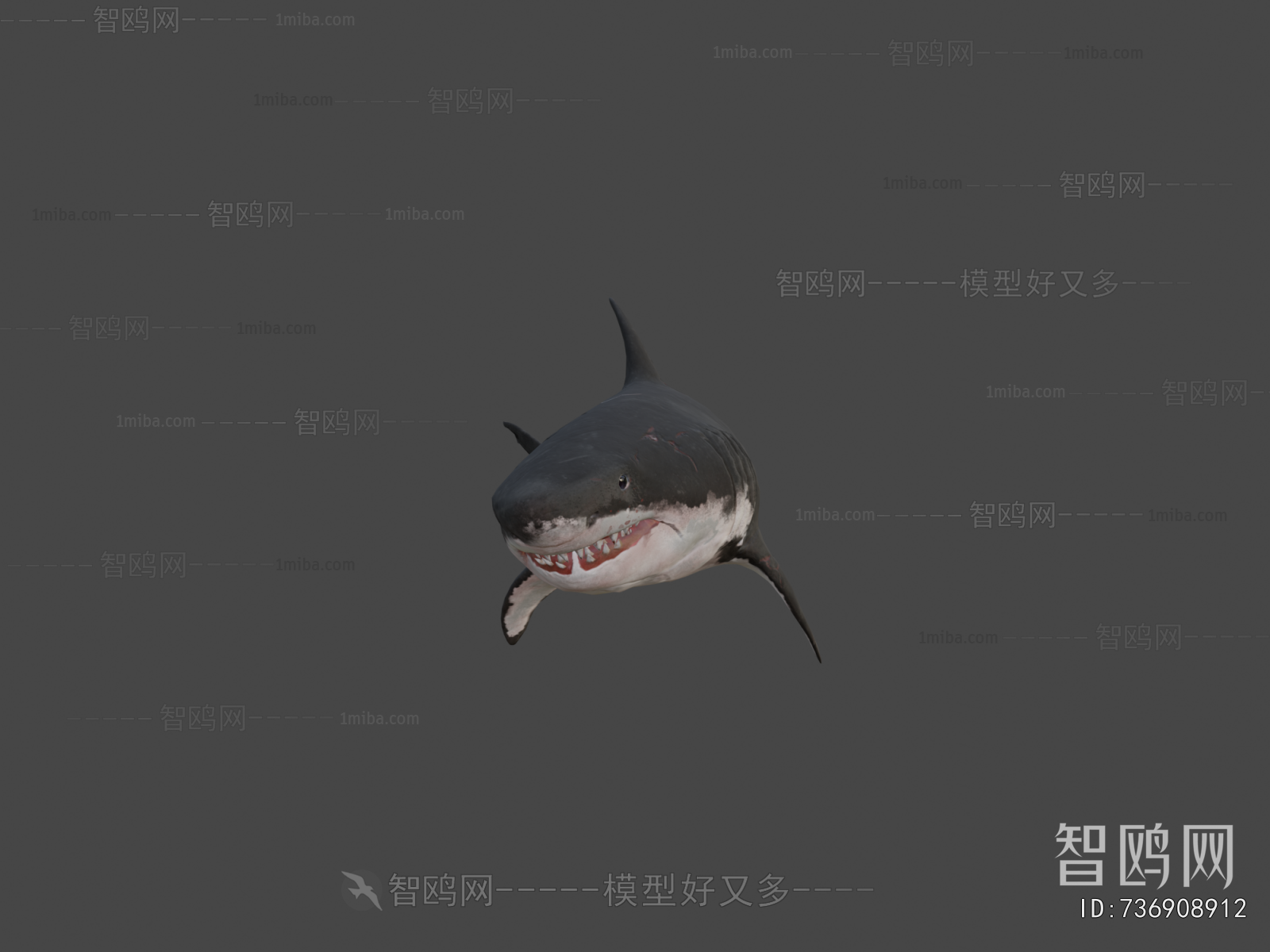 Modern Aquatic Animals