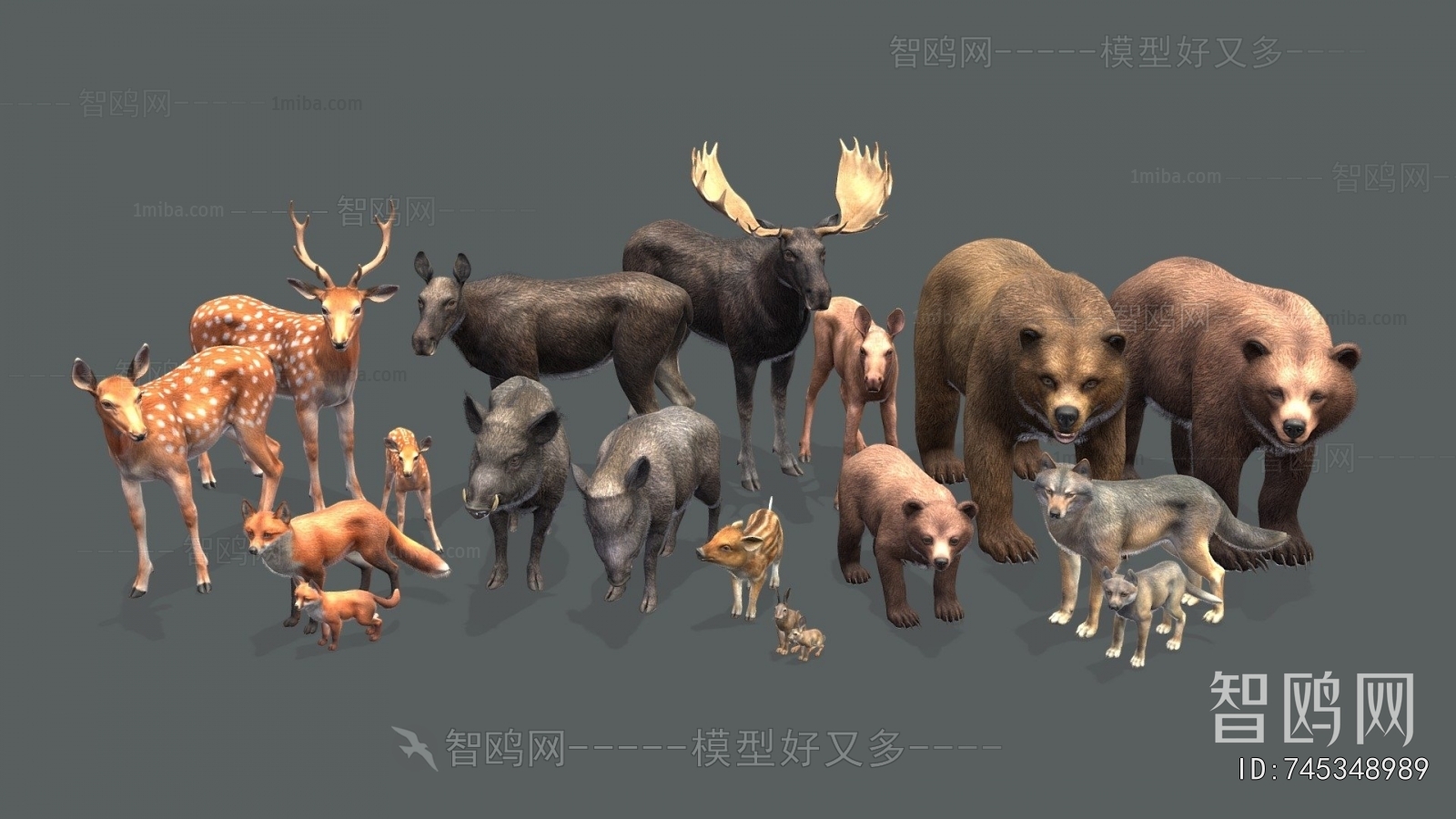 Modern Animal