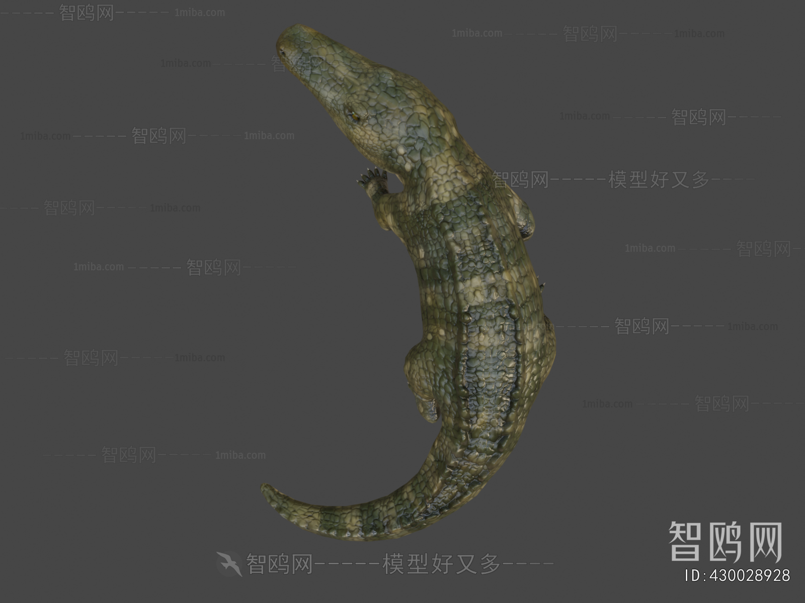 Modern Reptile