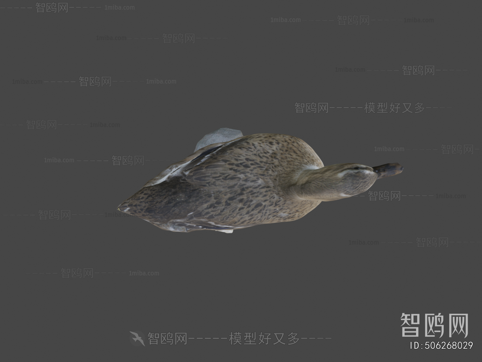 Modern Animal