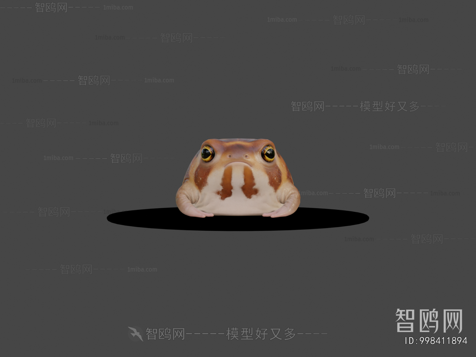 Modern Aquatic Animals
