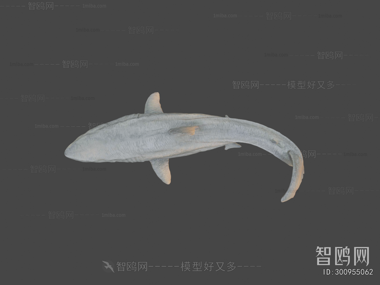 Modern Aquatic Animals