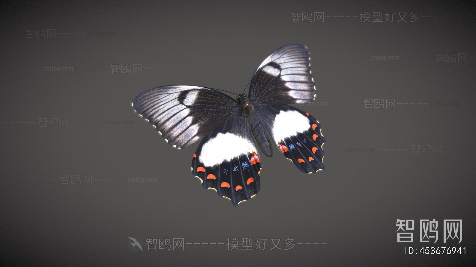 Modern Flying Animals