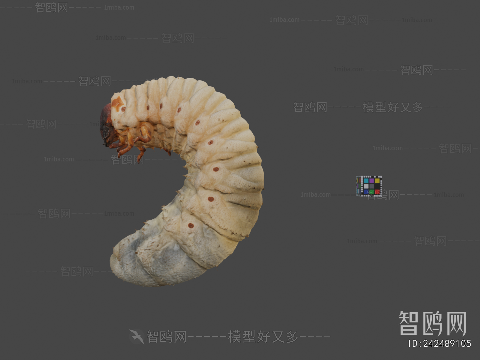 Modern Other Animals