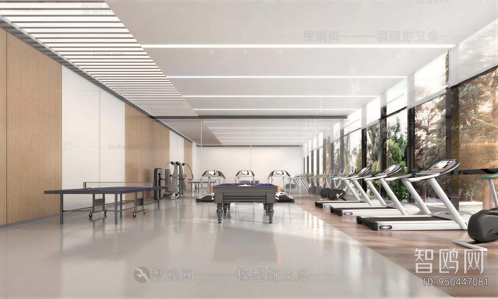 Modern Gym