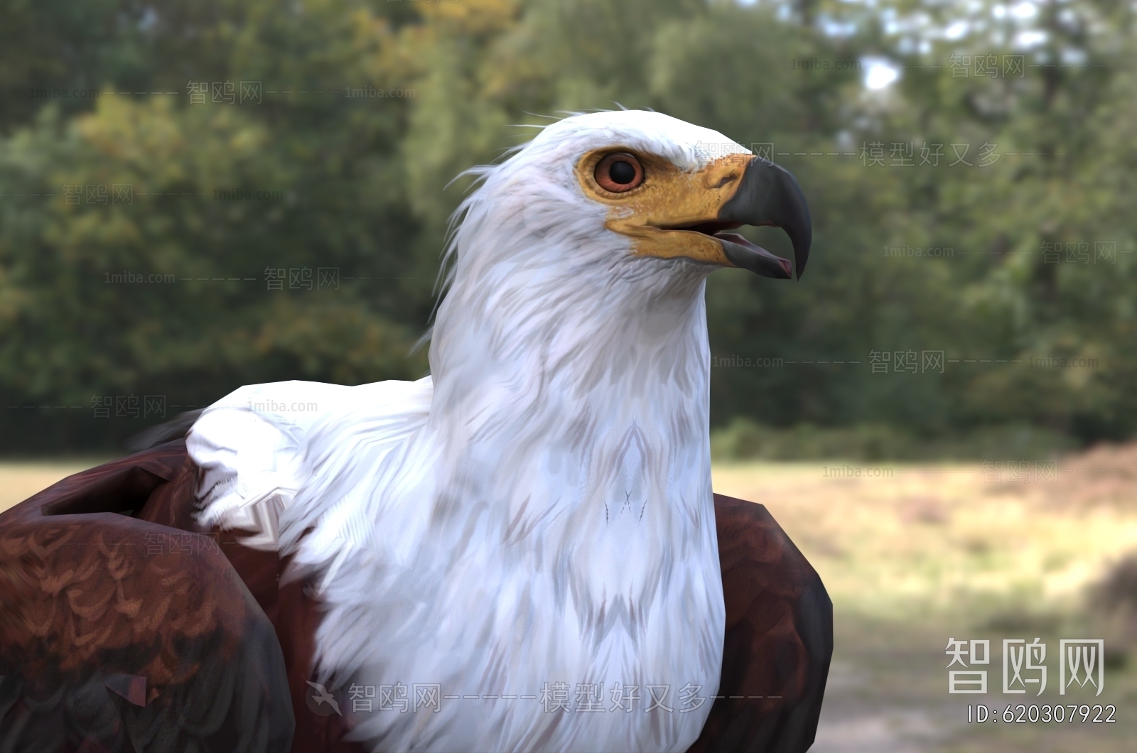 Modern Flying Animals